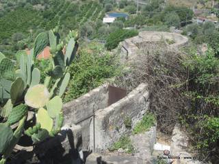 etra Pirciata-29-06-2016 11-46-34